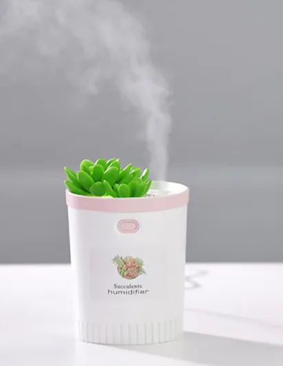 Увлажнитель и ароматизатор воздуха - ночник Succulent Humidifier